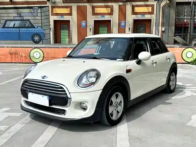 MINI MINI 2015