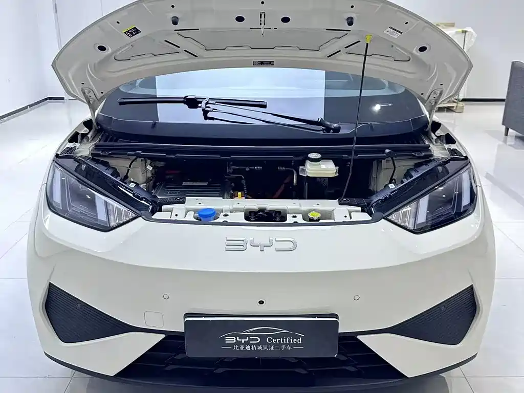 BYD Seagull 2025