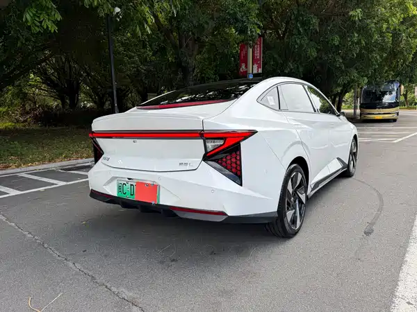 Lingxi Lingxi L 2024