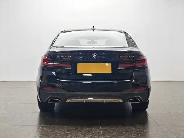 BMW 5 Series New Energy 2021