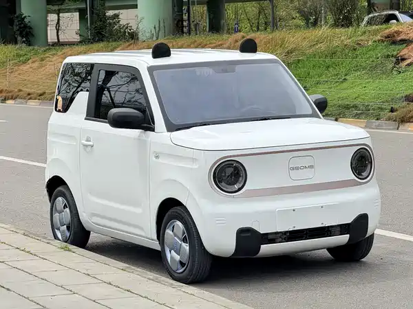 Geely Galaxy Panda 2023