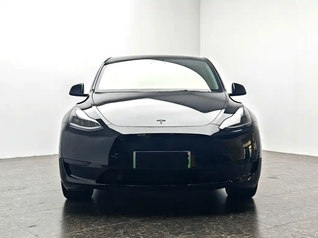 Tesla Model Y 2023 — фото 2