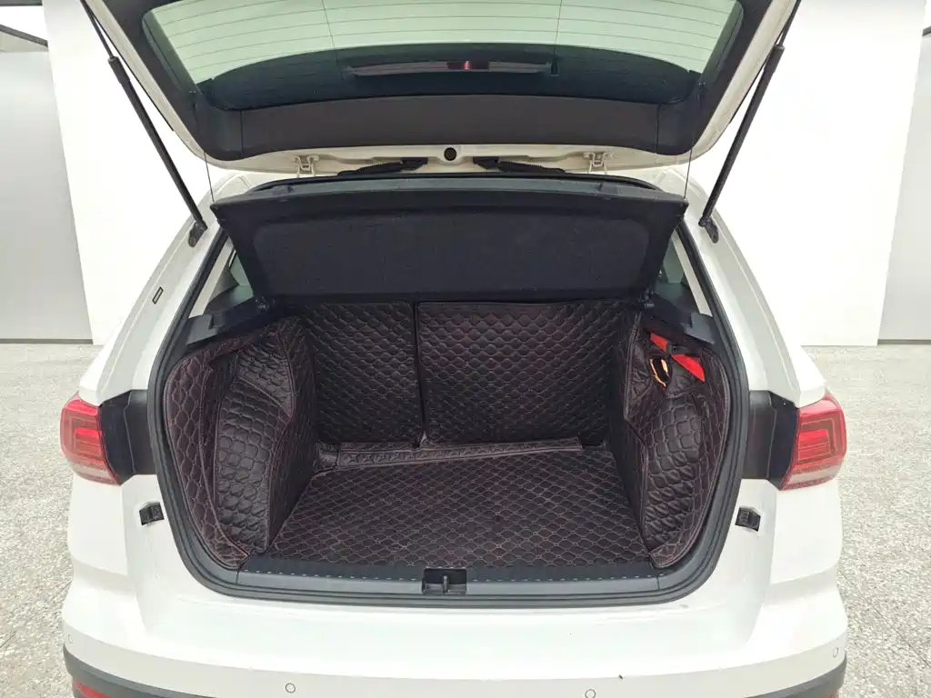 Volkswagen Tuyue 2020