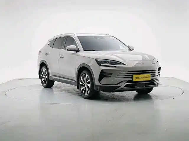 BYD PLUS New Energy 2023 — фото 1