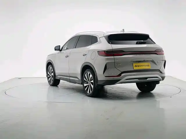 BYD PLUS New Energy 2023 — фото 3