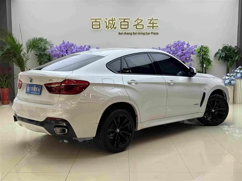 BMW X6 2019 — фото 6