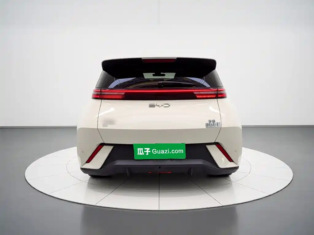 BYD Seagull 2024