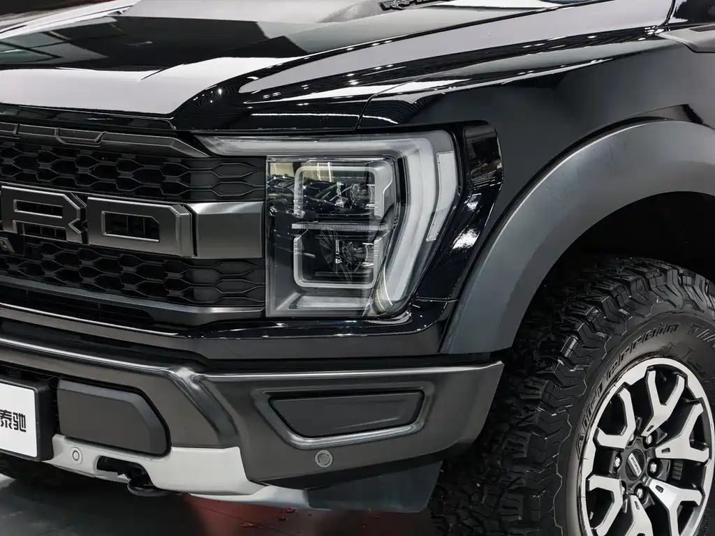 Ford F-150 Raptor 2025 — фото 8
