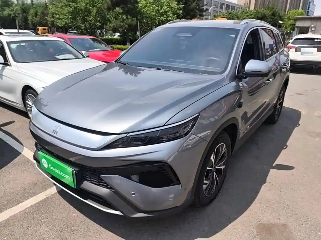 BYD Pro New Energy 2025