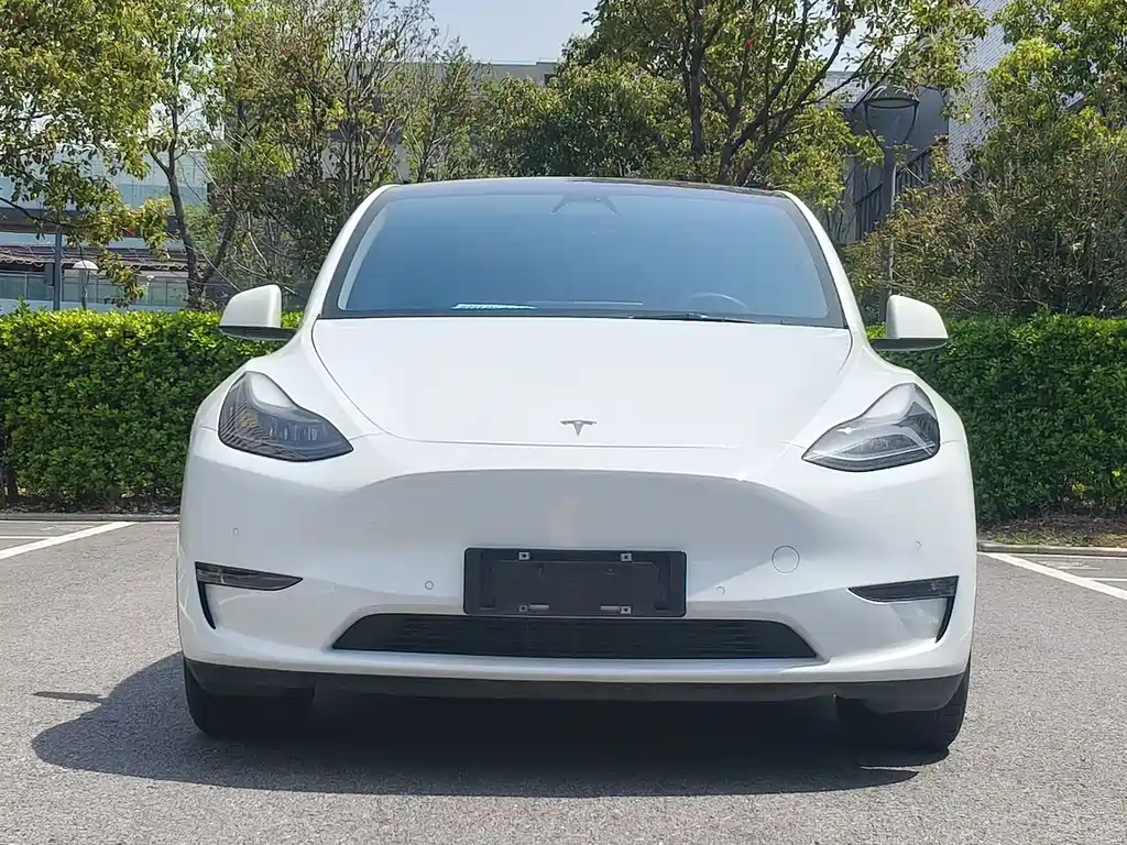 Tesla Model Y 2021 — фото 2