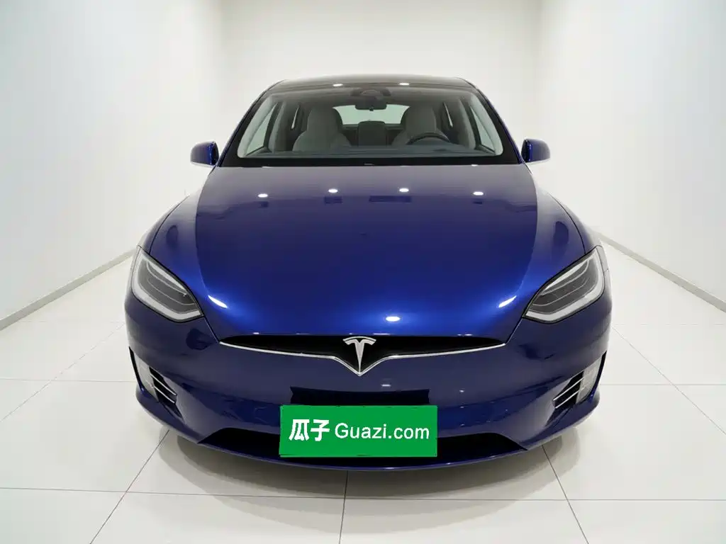 Tesla Model X 2019