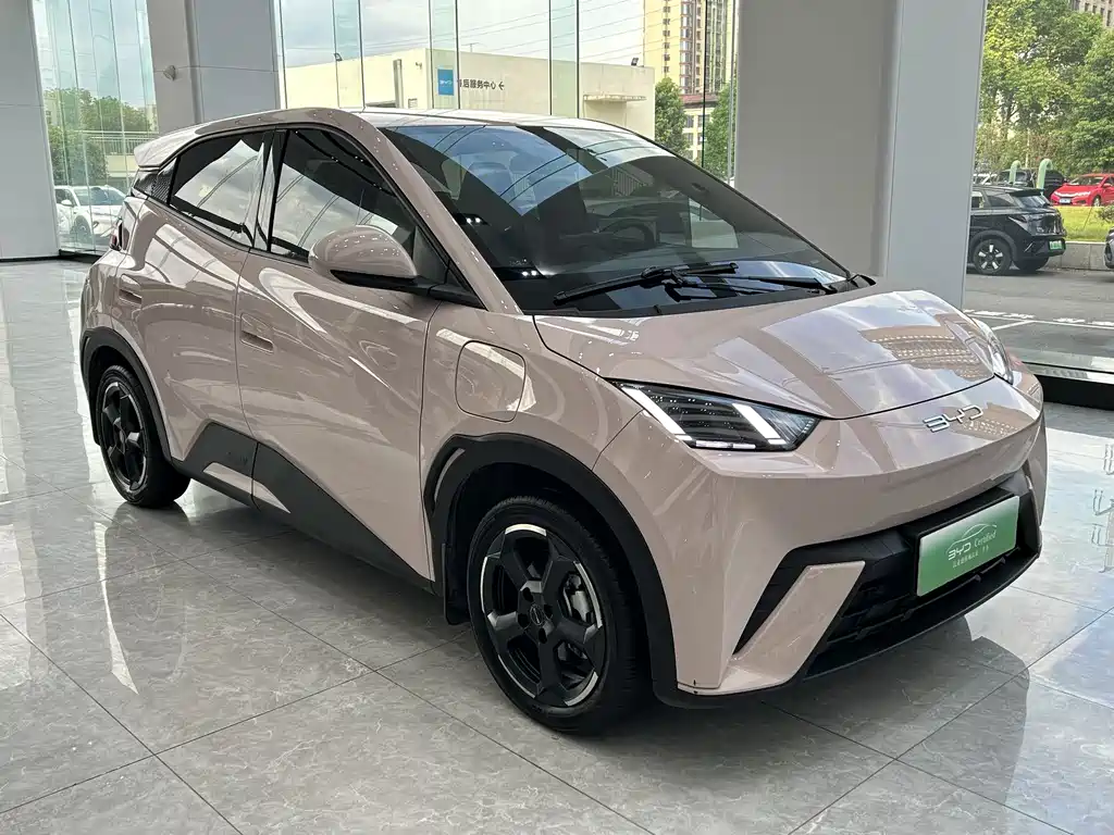 BYD Seagull 2024