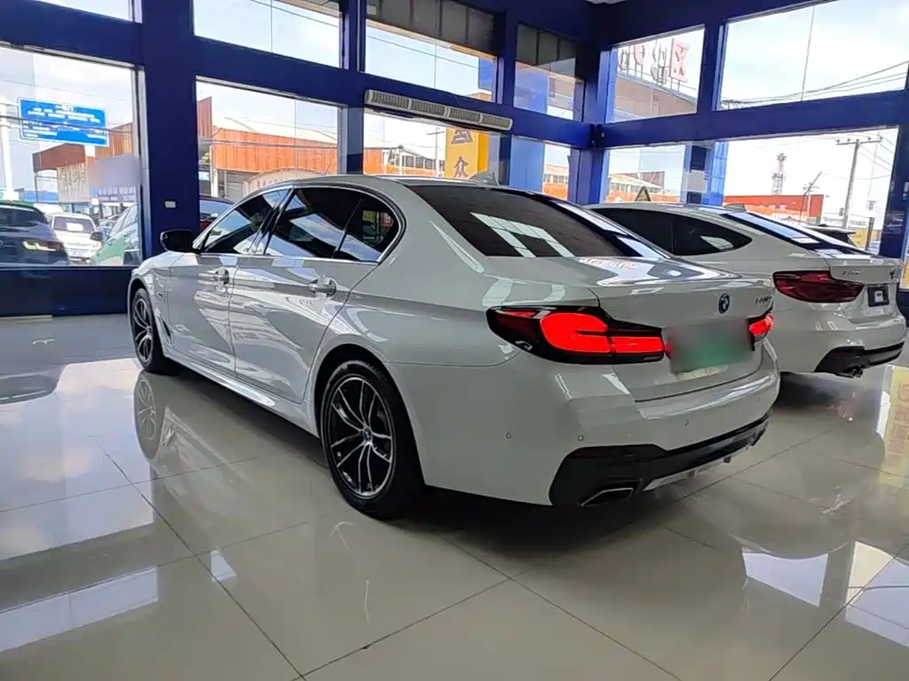 BMW 5 Series New Energy 2022