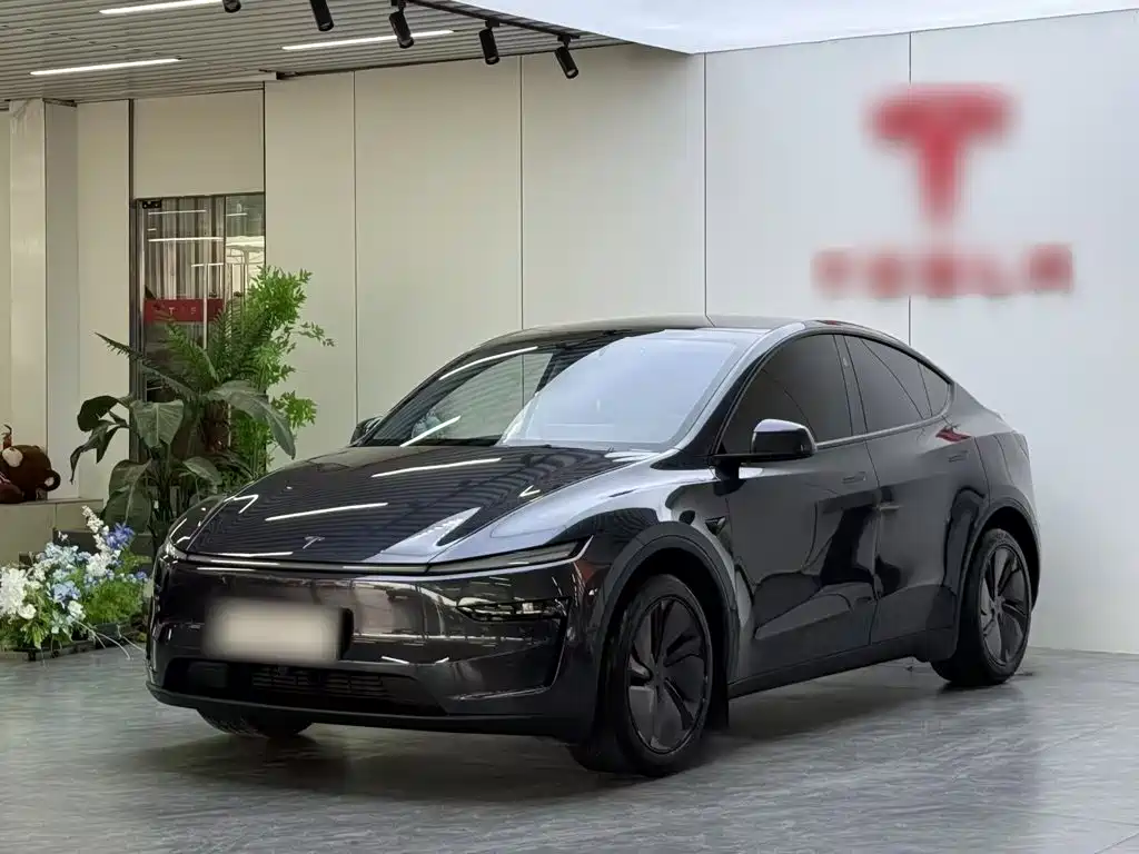 Tesla Model Y 2025 — фото 1