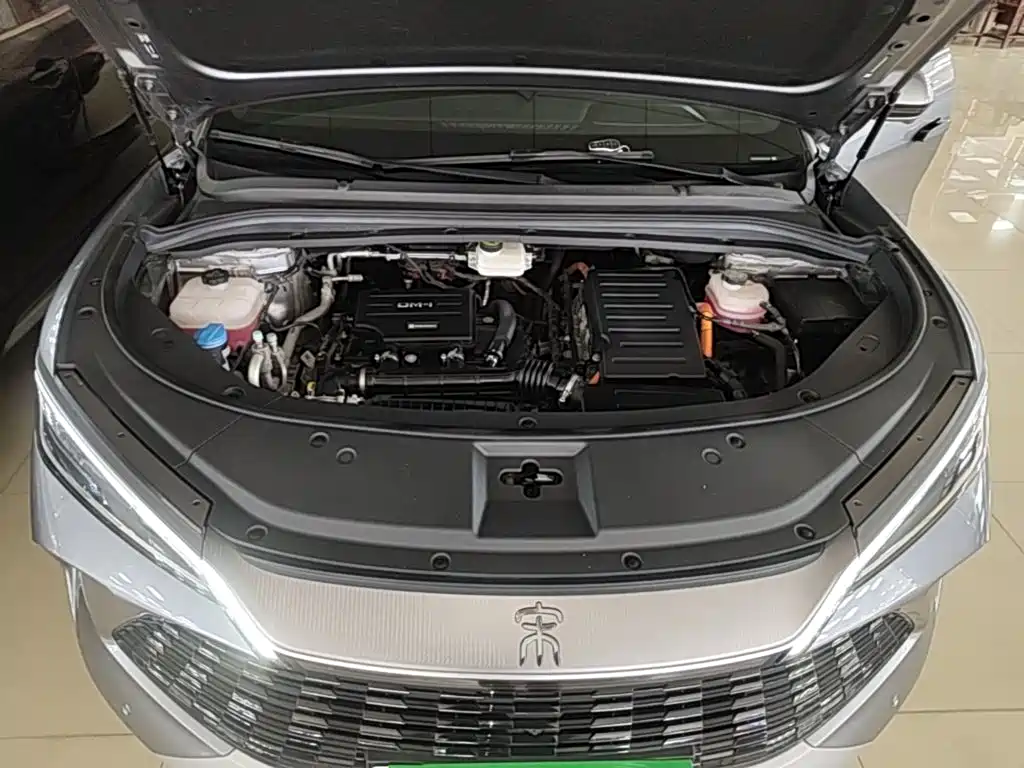 BYD L DM-i 2025 — фото 20