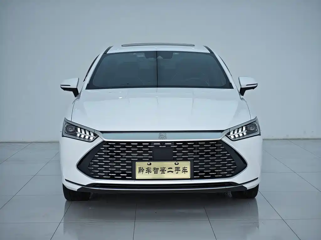 BYD Qin PLUS 2023 — фото 1