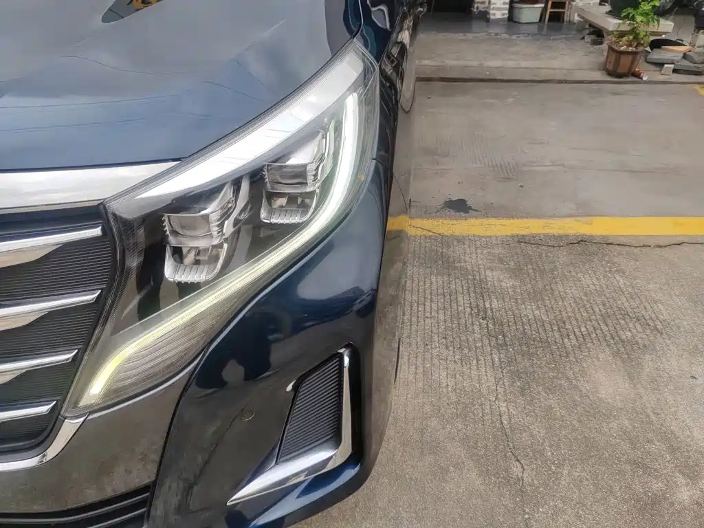 GAC Trumpchi M8 2019 — фото 24
