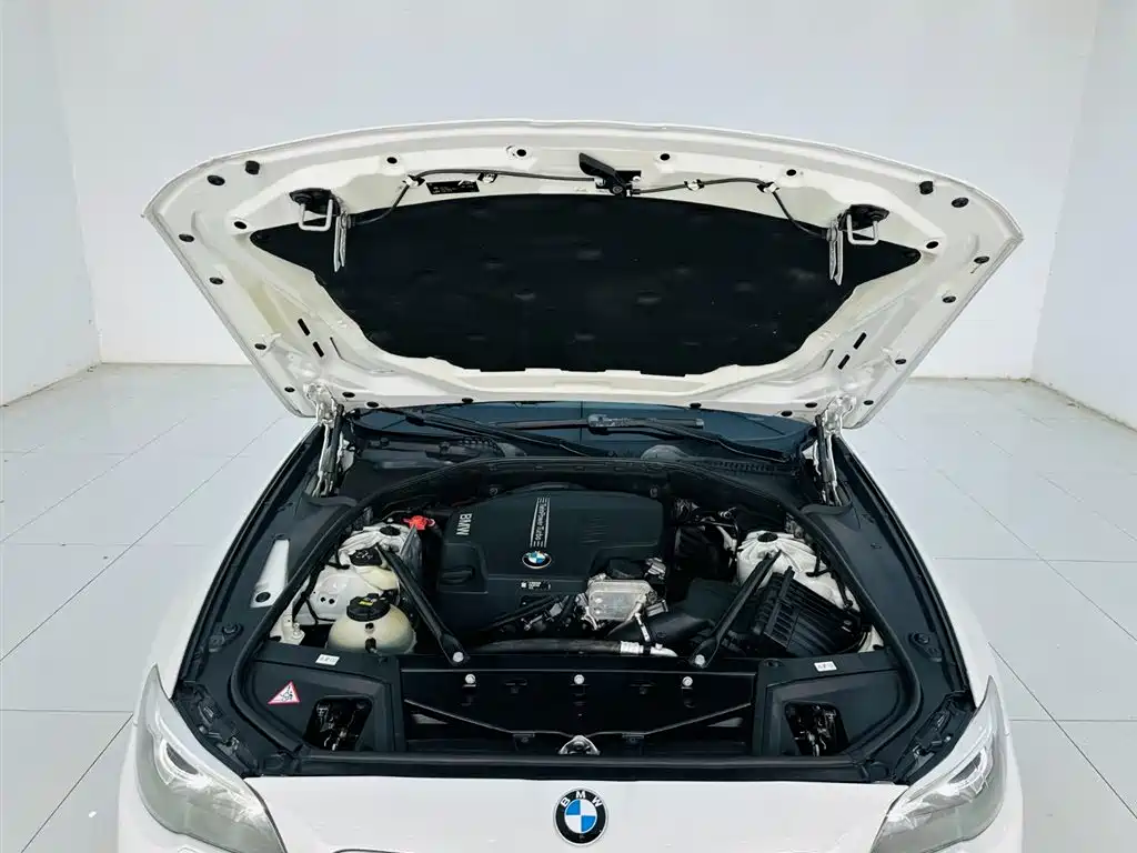 BMW 5 Series 2014 — фото 25