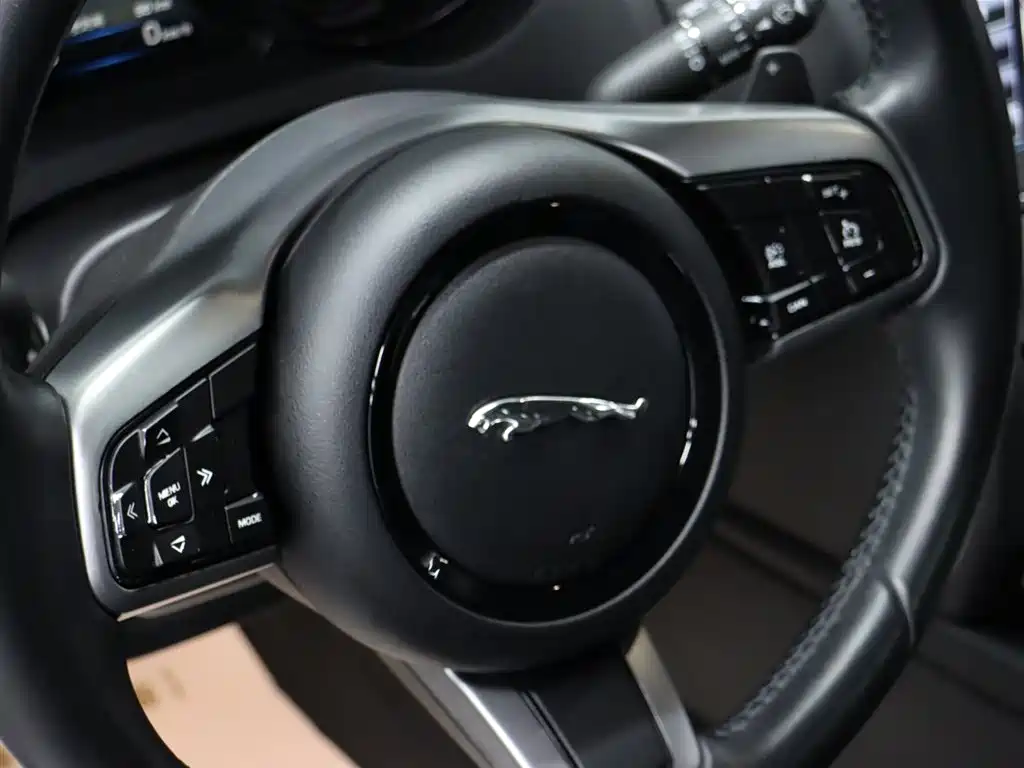 Jaguar F-TYPE 2015 — фото 19