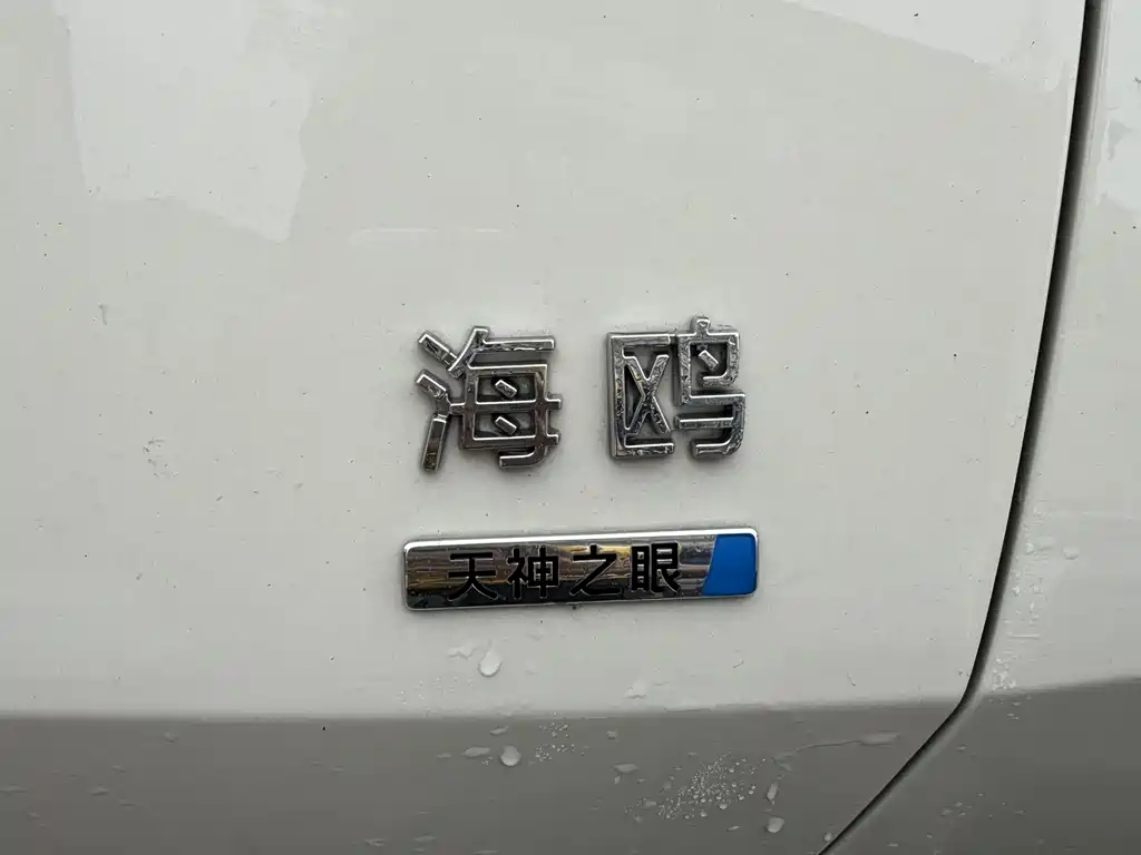 BYD Seagull 2025