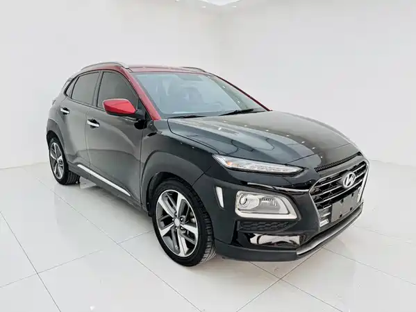 Hyundai ENCINO 2019