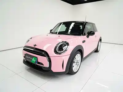 MINI MINI 2021