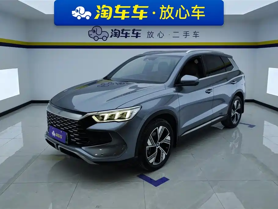 BYD Pro New Energy 2024 — фото 1