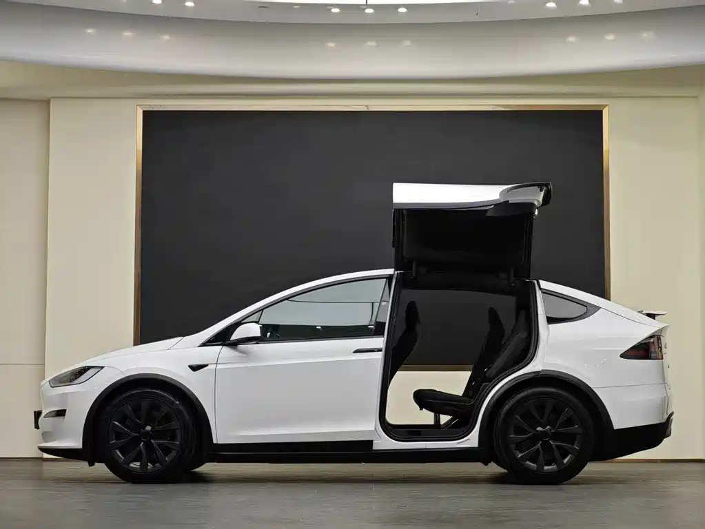 Tesla Model X 2024 — фото 13