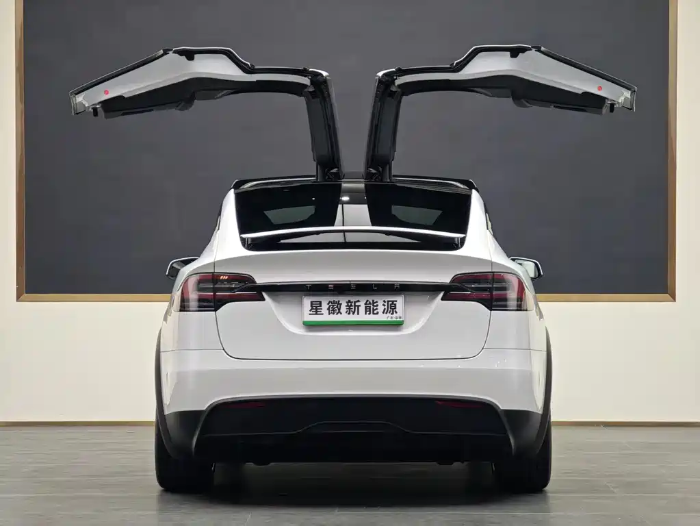 Tesla Model X 2024 — фото 15