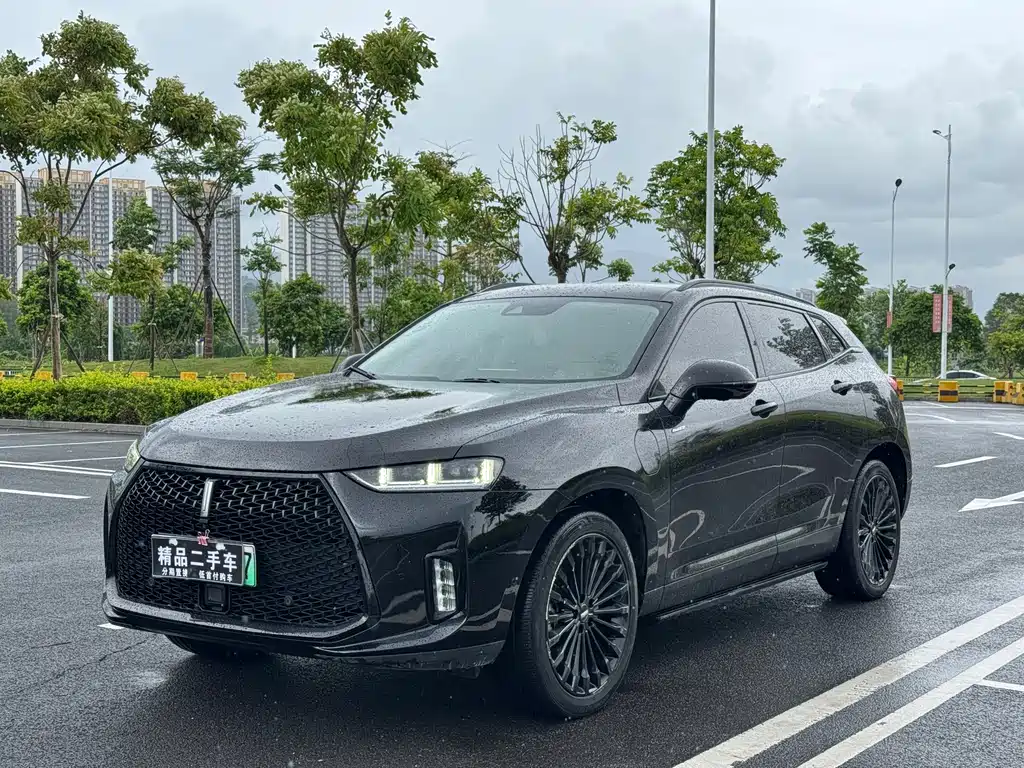 Wey P8 2018