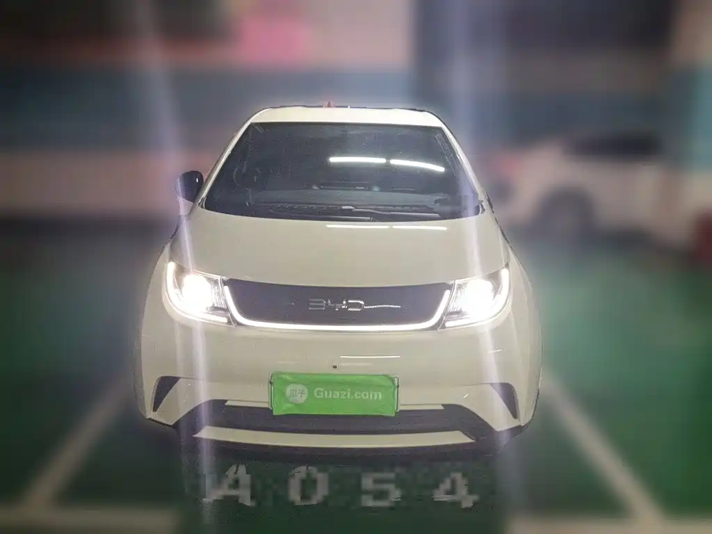 BYD Dolphin 2025