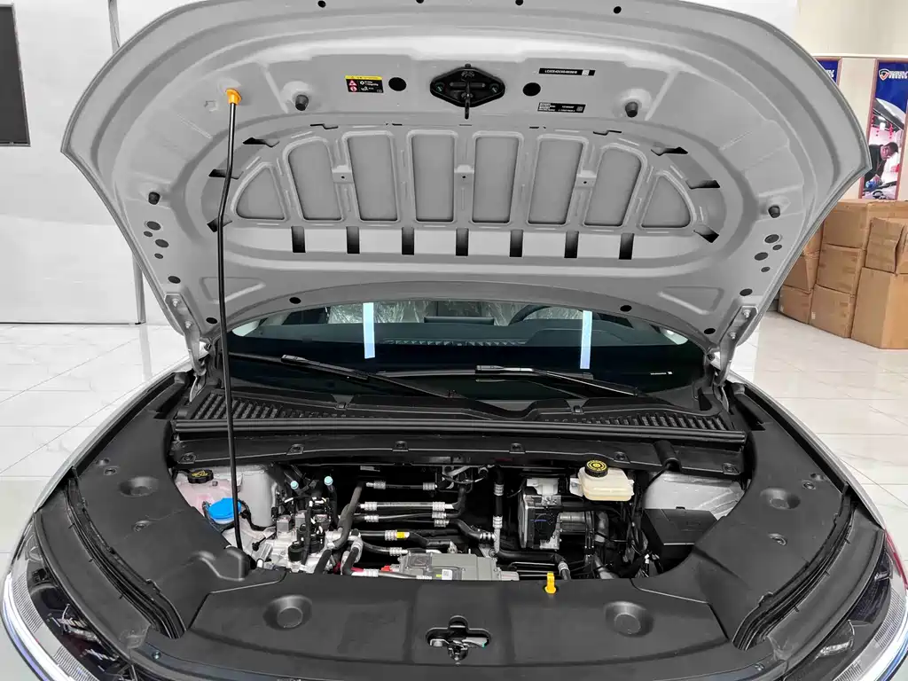BYD Yuan UP 2025
