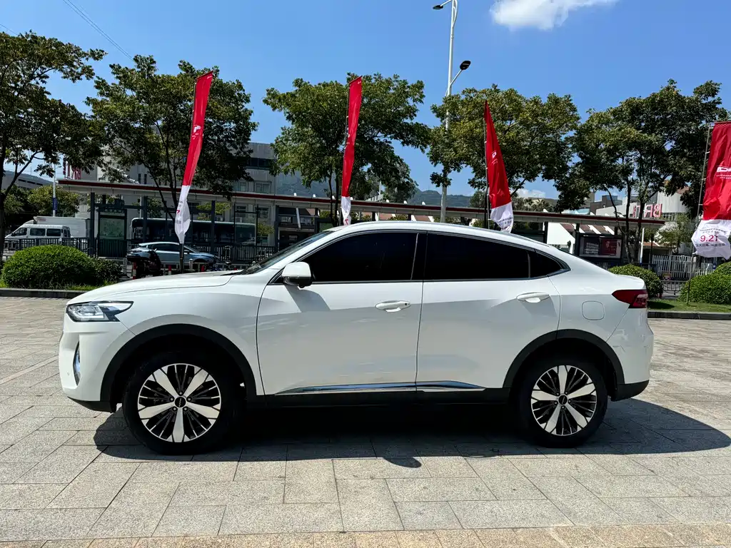 Haval F7x 2021 — фото 3
