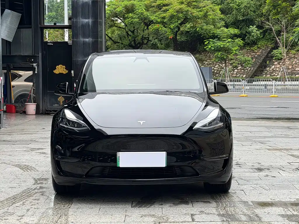 Tesla Model Y 2021 — фото 2