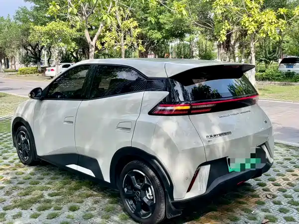 BYD Seagull 2024