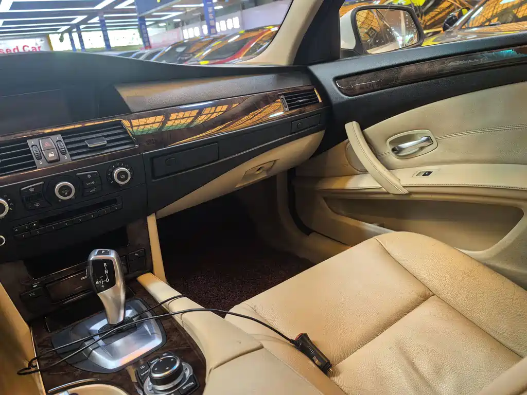 BMW 5 Series 2010