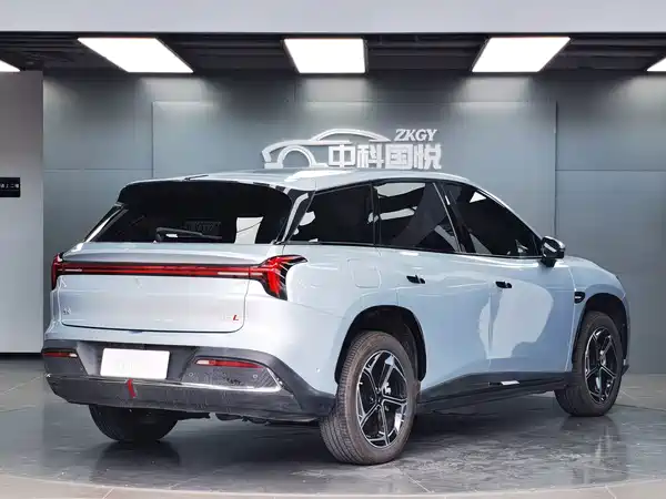 Neta L 2024