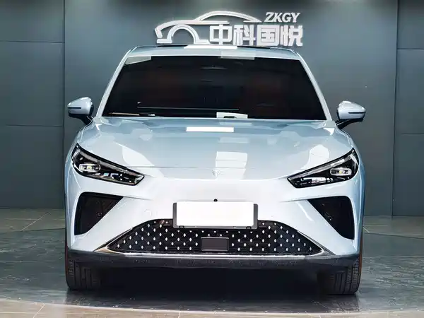 Neta L 2024