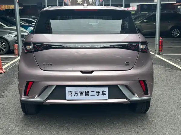 BYD Dolphin 2022