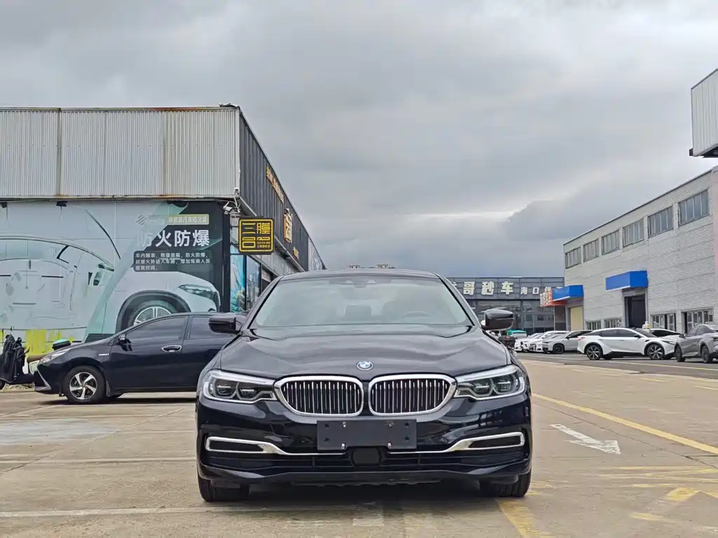 BMW 5 Series New Energy 2019