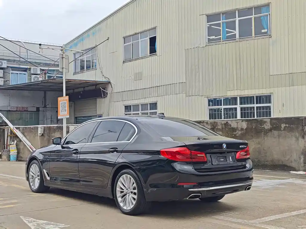 BMW 5 Series New Energy 2019
