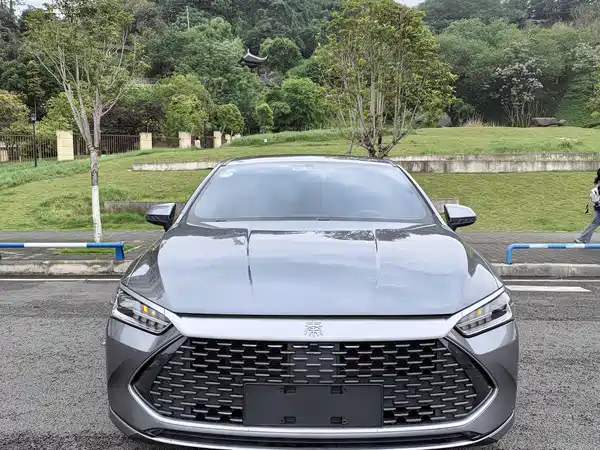 BYD Qin PLUS 2021