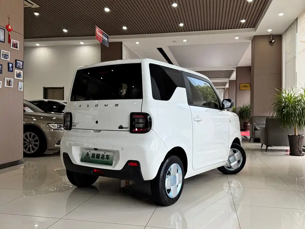 Geely Galaxy Panda 2024 — фото 2