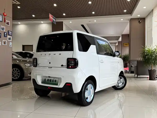 Geely Galaxy Panda 2024