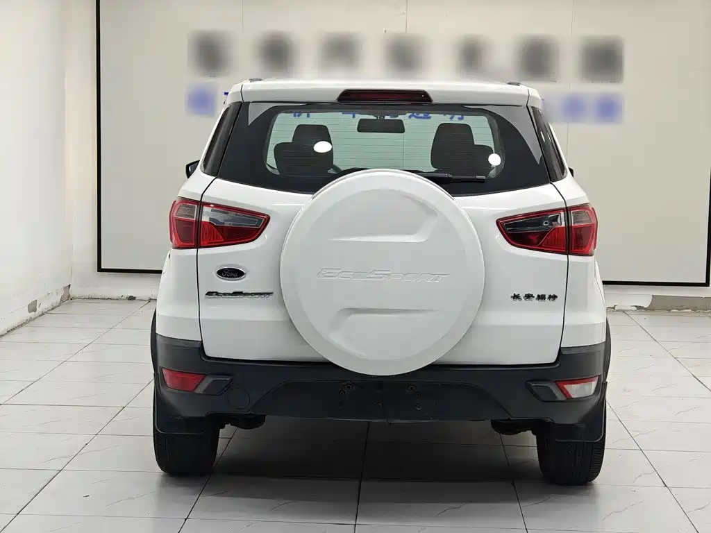 Ford EcoSport 2014 — фото 24