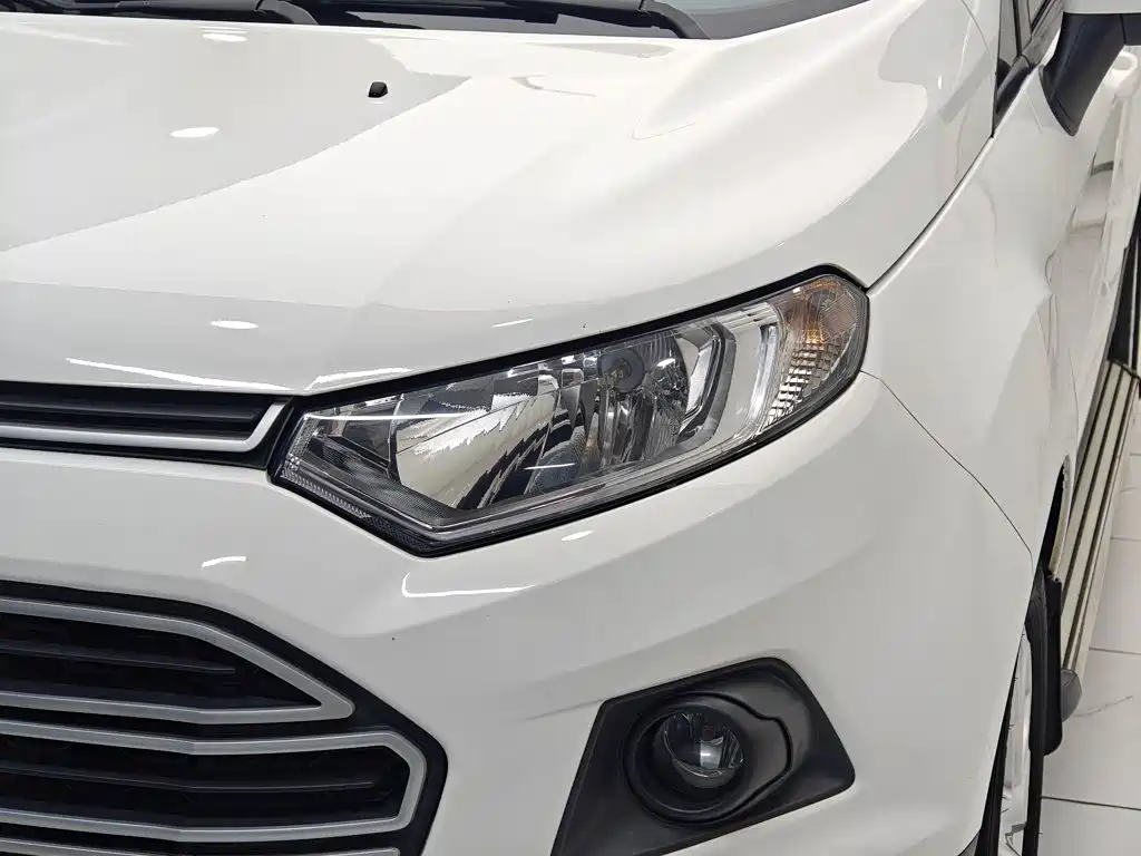Ford EcoSport 2014 — фото 15