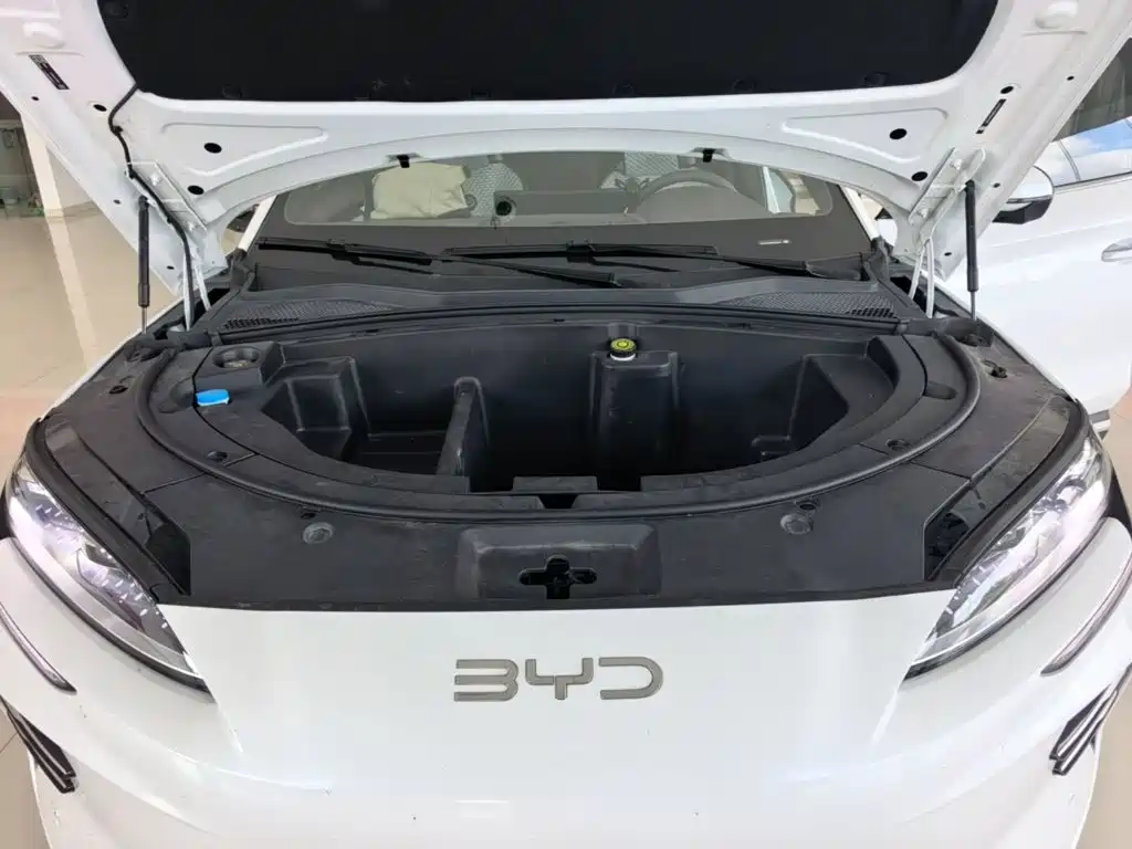BYD Song PLUS New Energy 2025 — фото 20