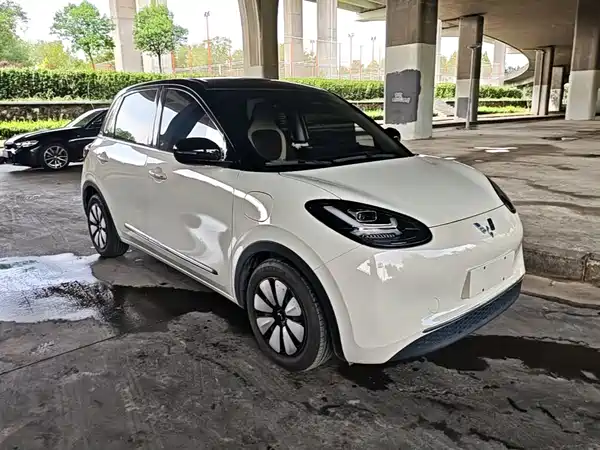 Wuling Bingo 2023