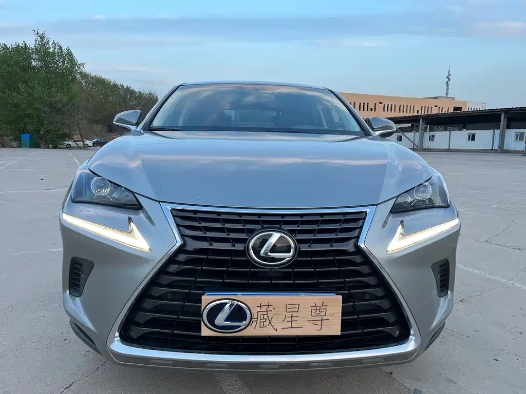 Lexus NX 2018 — фото 19