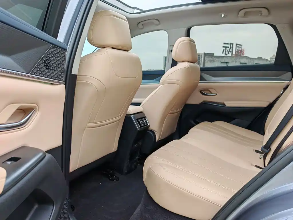 BYD Song Pro New Energy 2025 — фото 17